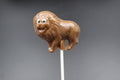 Lion Pop 20g